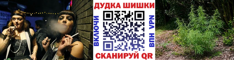 Где можно купить наркотики Гурьевск Alpha PVP kraken tor Канабис Мефедрон Галлюциногенные грибы