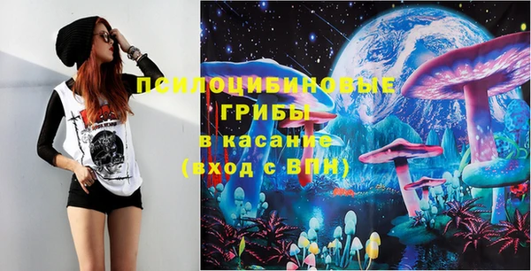 прущий лед Михайлов
