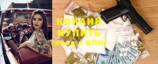 прущий лед Михайлов