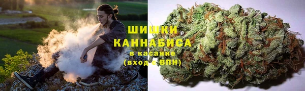 прущий лед Михайлов