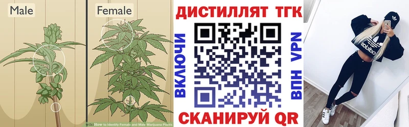 Дистиллят ТГК концентрат  KRAKEN маркетплейс  Гурьевск 