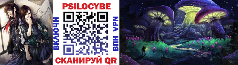 где купить   Гурьевск  Галлюциногенные грибы прущие грибы 