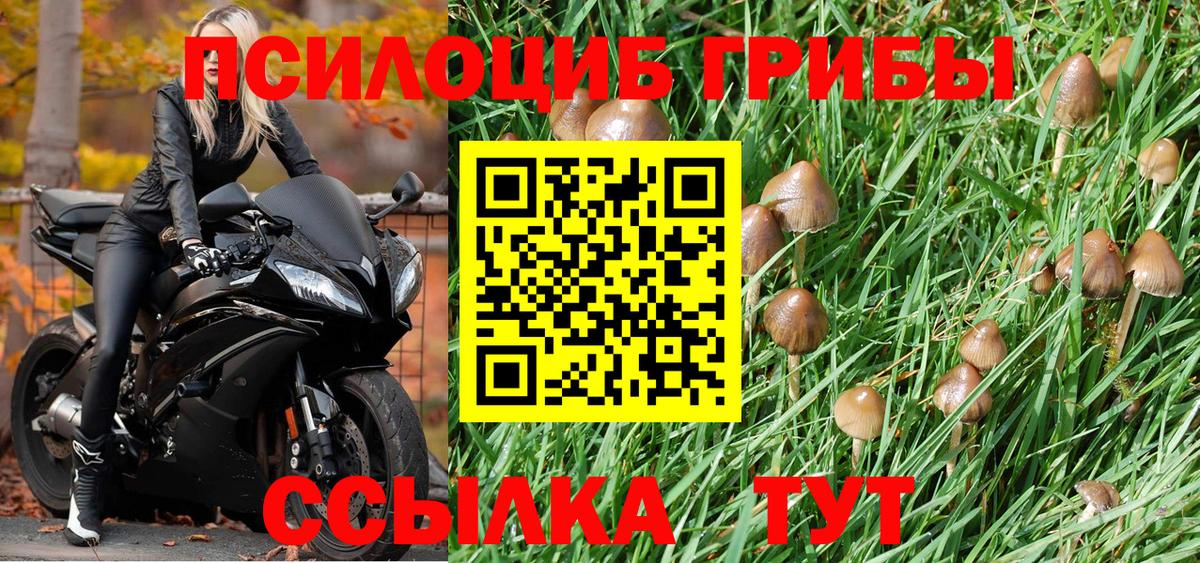 Галлюциногенные грибы мухоморы Гурьевск