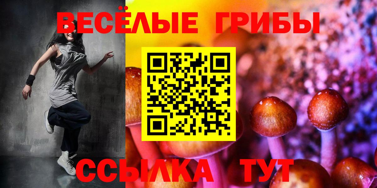 Псилоцибиновые грибы GOLDEN TEACHER  Гурьевск  Галлюциногенные грибы MAGIC MUSHROOMS 