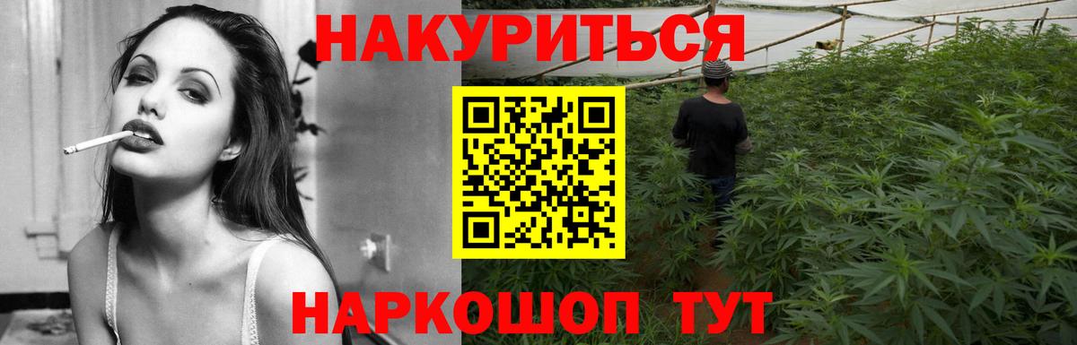 Шишки марихуана MAZAR  Конопля MAZAR  Гурьевск  Каннабис VHQ  МАРИХУАНА SATIVA & INDICA 